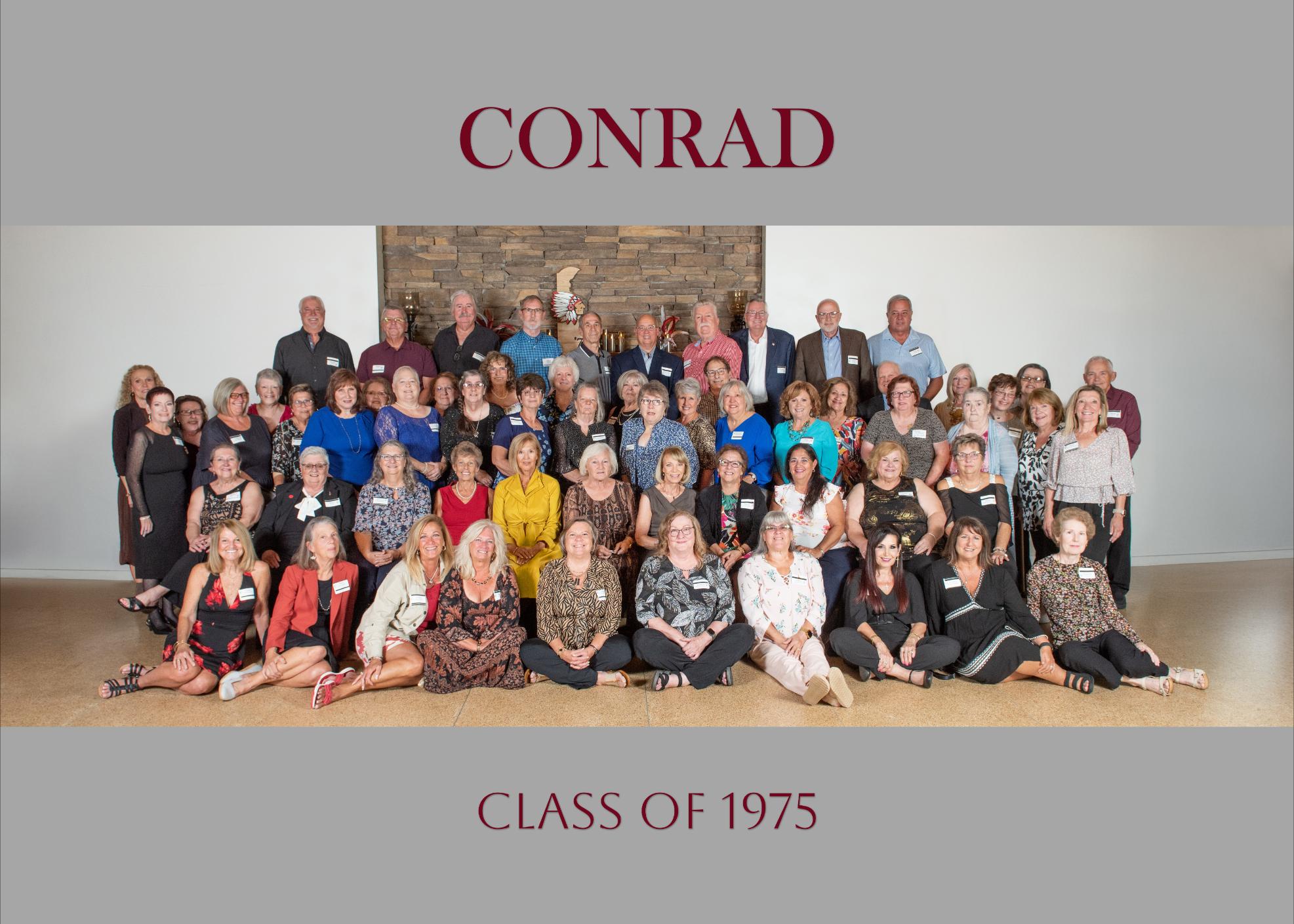 large group wedding portrait